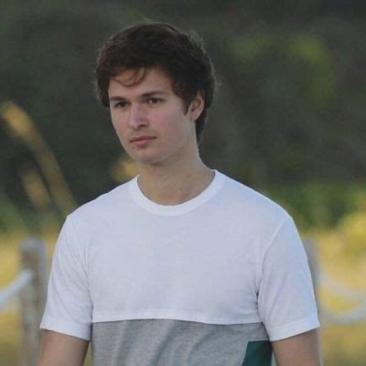 Ansel Elgort Bio (Wiki) 