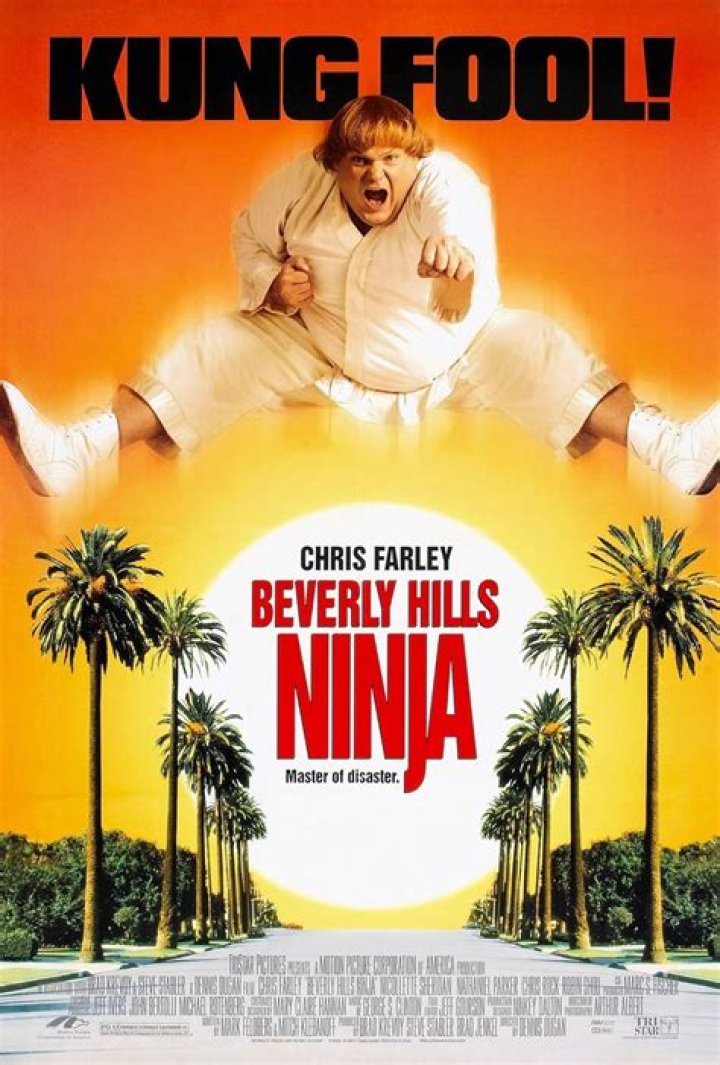 Beverly Hills Ninja - Cast, Ages, Trivia