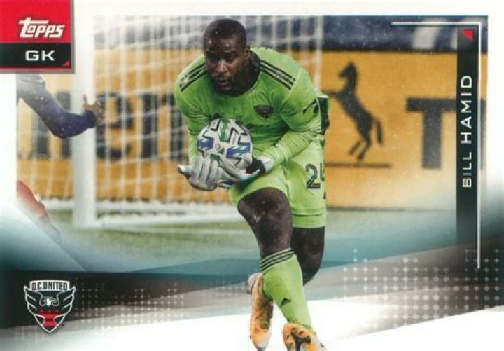 Bill Hamid Bio (Wiki) 