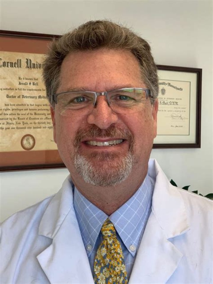 Brian Bell Bio (Wiki) 