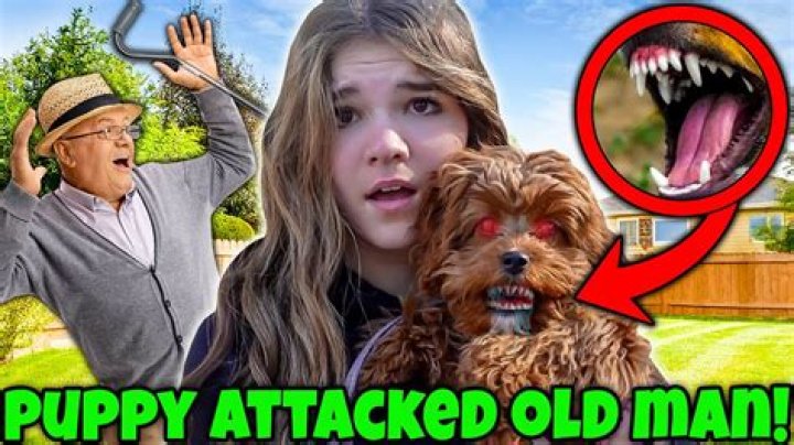 Carlaylee HD - Age, Family, Bio