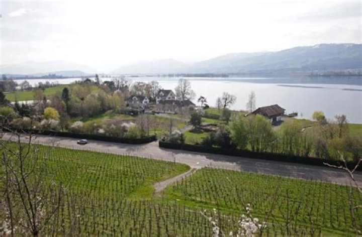 Celebrities Born In Zurich, Switzerland