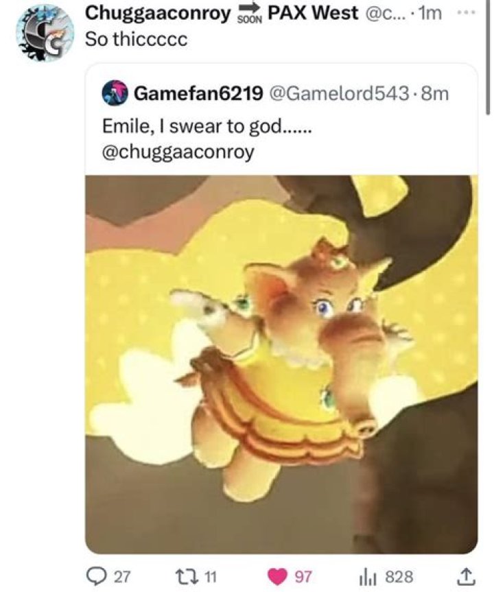 Chuggaaconroy - Age, Family, Bio