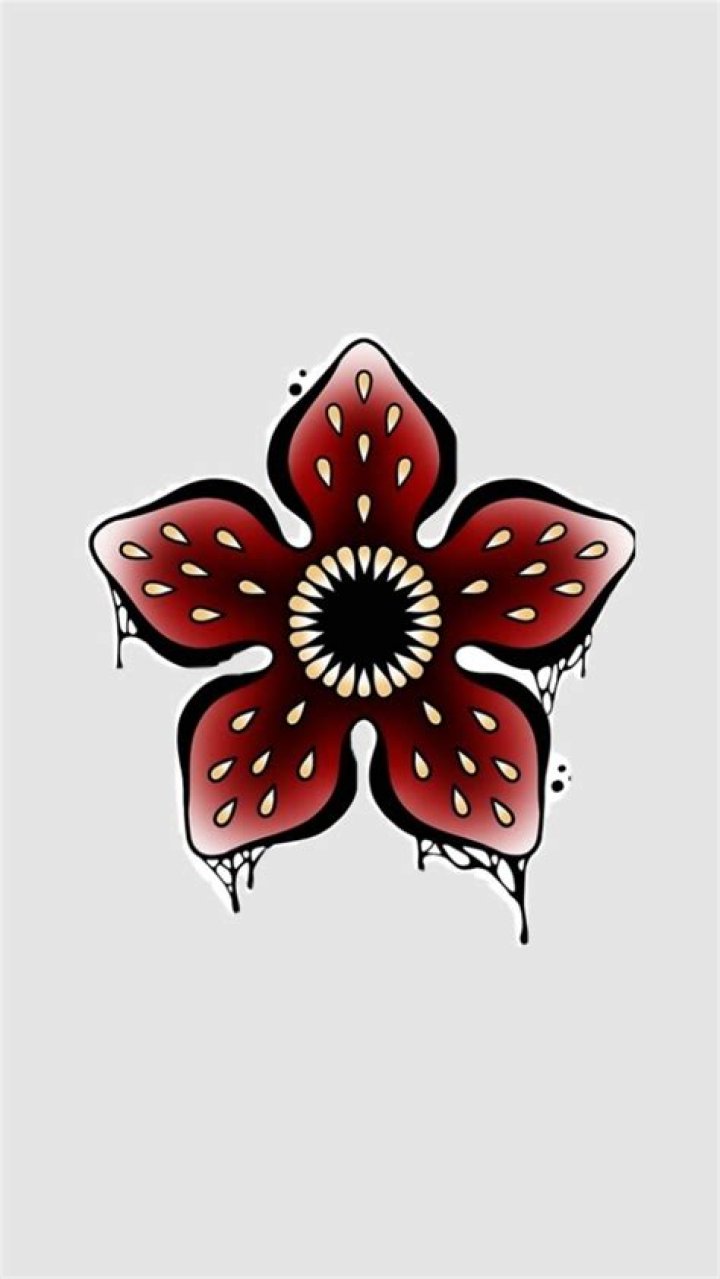 Como la Flor - Artist, Ages, Trivia