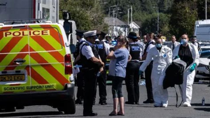 
Falmouth Stabbing, Updates On Stabbing In Falmouth Ma And More 