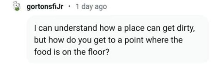 “How do you get to a point where the food is on the floor?”: Jordan’s fish and chicken Indianapolis video leaves internet baffled