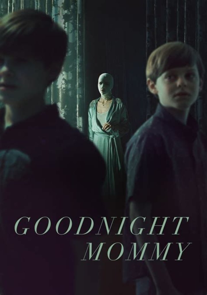 Is Goodnight Mommy on Netflix?