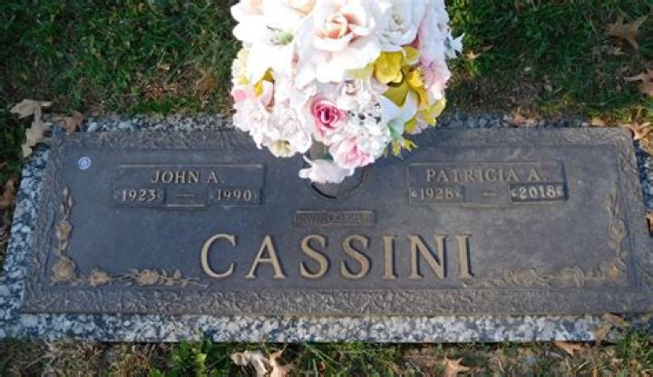 John Cassini Bio (Wiki) 