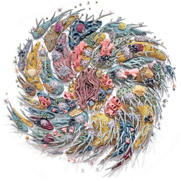 Mike Mattison Bio (Wiki) 