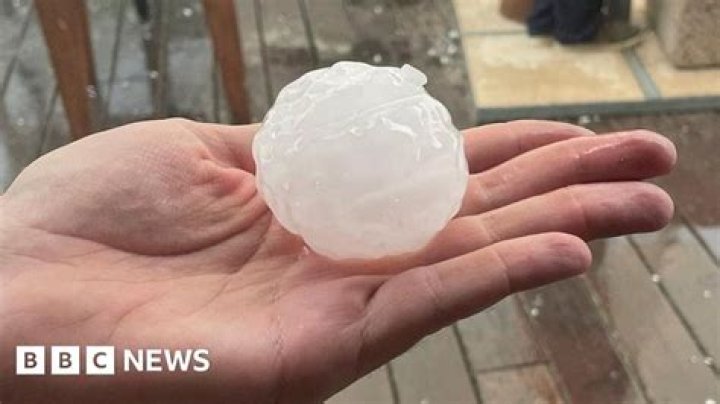 Reality TV Personality Chip Hailstone's Interesting Facts Of His Life!