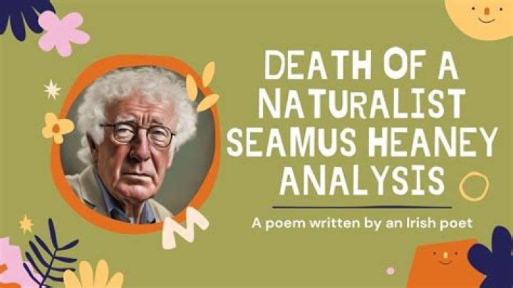 
Seamus Heaney Cause of Death, How did Seamus Heaney Die? 