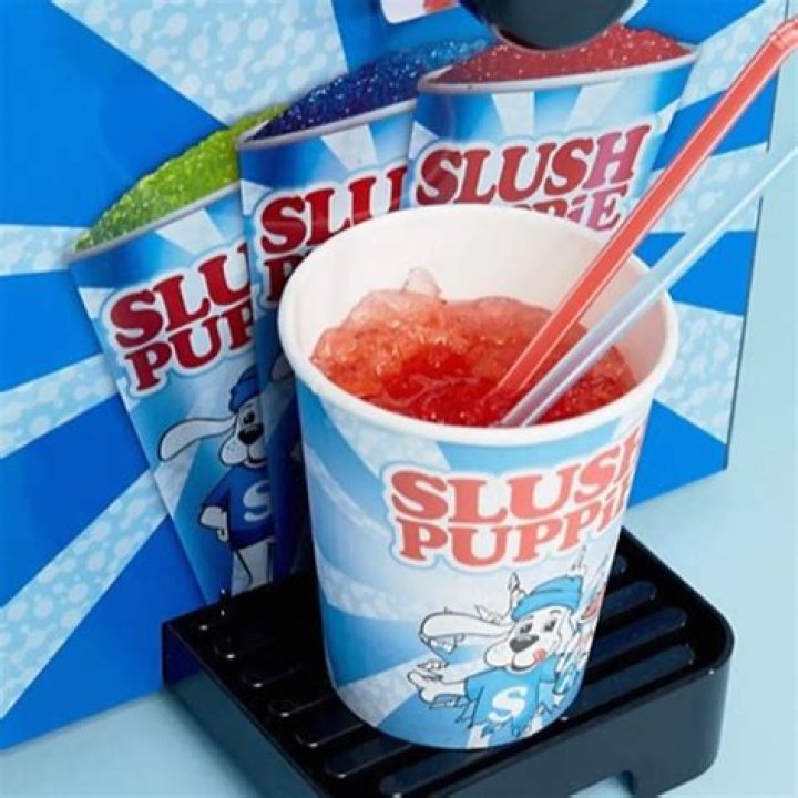 Slush Puppy - Age, Family, Bio