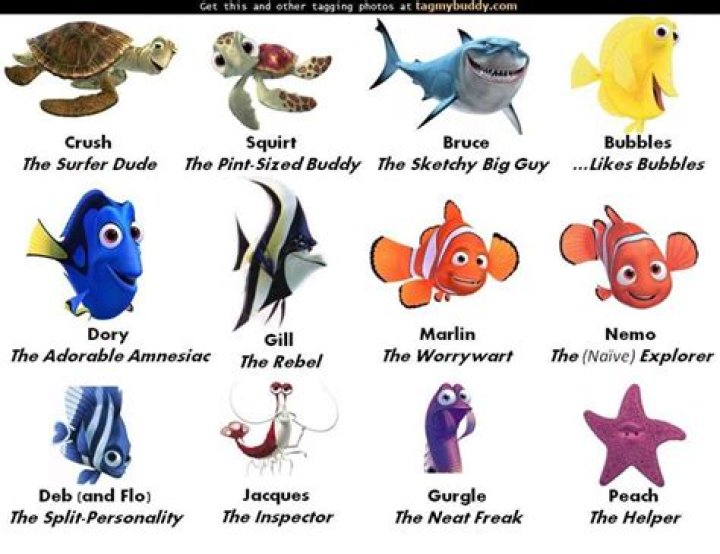 What are the names of the fish in the fish tank in Finding Nemo?