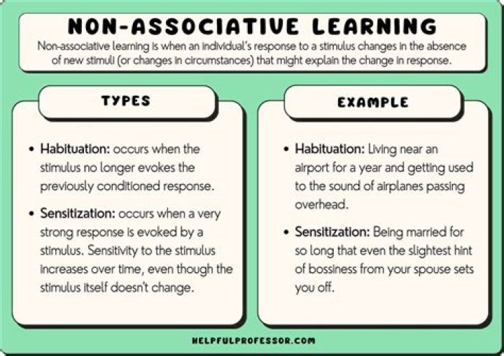 What are two types of non associative learning?
