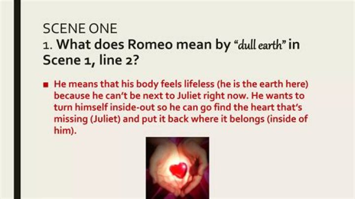 What does Romeo mean by dull earth?