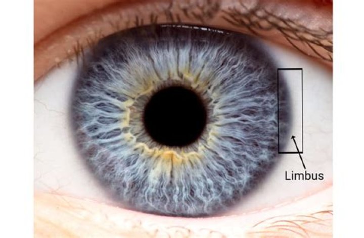 What does stuck in limbo mean?