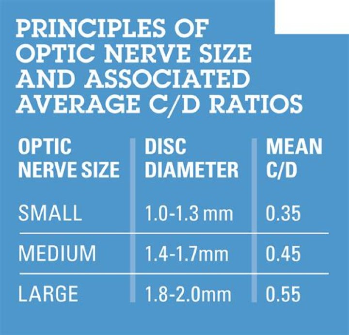 What is a normal optic nerve size?