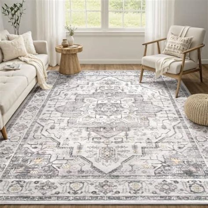 What is the best vacuum for Oriental rugs?