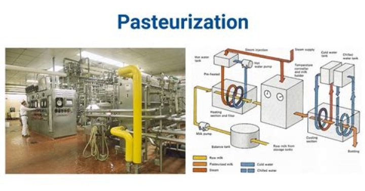Which are goals of pasteurization?